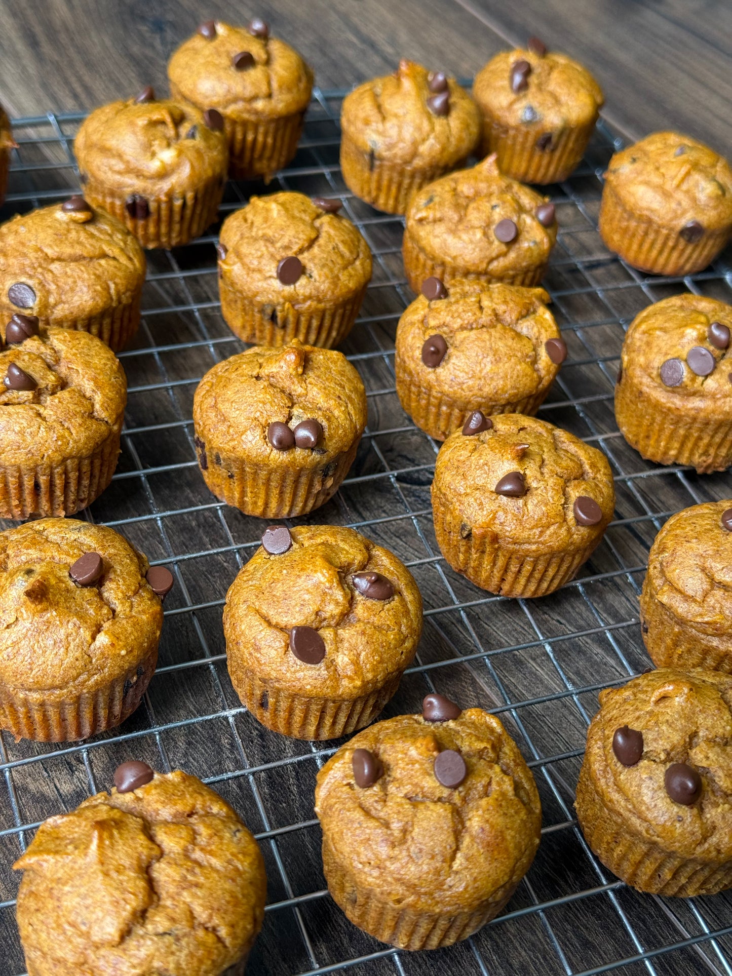 Grain-free Mini Pumpkin Chocolate Chip Muffins