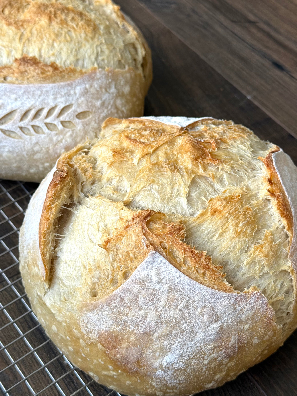 Organic Sourdough Loaf